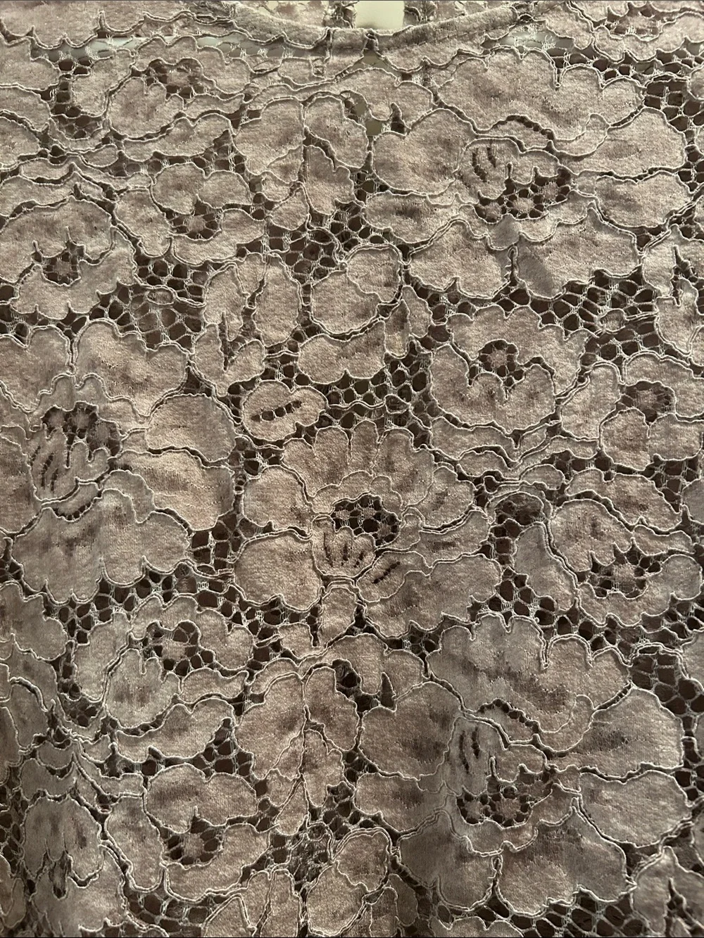 Zara GORGEOUS SEXY Lace peekaboo LongSleeve Blouse scallop hem size M beige